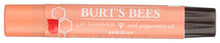 LIP SHIMMER BURTS BEES APRICOT   '792850023130