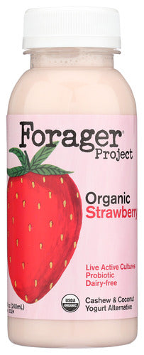 YOGURT FORAGER PROB CASHEW STRAW    '814558021383