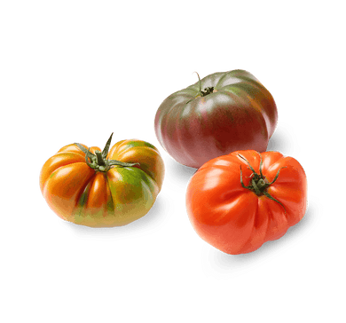 ORGANIC TOMATOES HEIRLOOM   '319