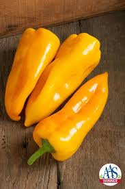 LOCAL PEPPERS ESCAMILLO  '398