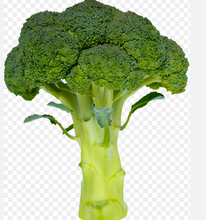 ORGANIC BROCCOLI   '243