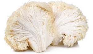 LOCAL MUSHROOMS LIONS MANE 4OZ   '8038