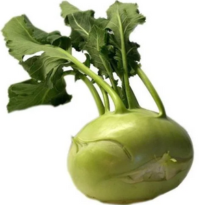 LOCAL KOHLRABI GREEN ORG   '156