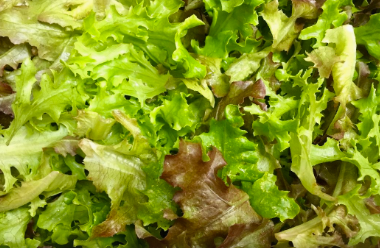 LOCAL SALAD MIX SPRING RHF   '610563150977