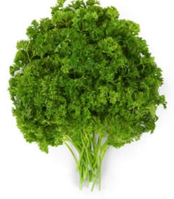 ORGANIC PARSLEY CURLY   '298