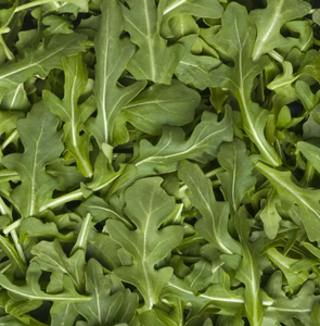 Local ARUGULA 5OZ SWEET SEASON ORG '860013385811