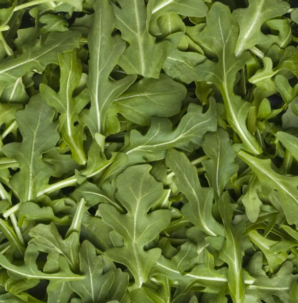 Local ARUGULA 5OZ SWEET SEASON ORG '860013385811