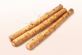 LOCAL BURDOK ROOT  '186
