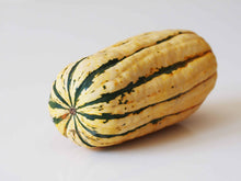 ORGANIC SQUASH DELICATA   '1688