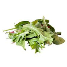 ORGANIC SPRING MIX BULK   '396