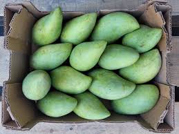 ORGANIC MANGOS NAM DOC MAI  '161