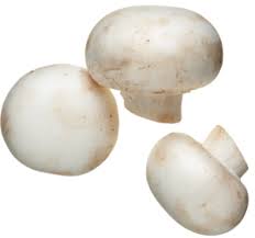 ORGANIC MUSHROOMS WHITE 8OZ  '771163000304