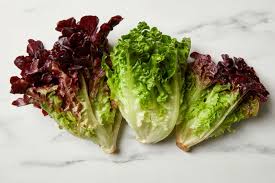 LOCAL LETTUCE GREEN/RED LEAF    '1689