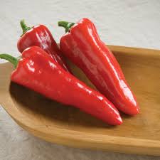 LOCAL PEPPER CARMEN   '293