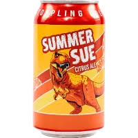 BEER TG SUMMER SUE CITRUS ALE '810070238766