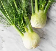 LOCAL FENNEL  '148