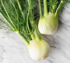 LOCAL FENNEL  '148