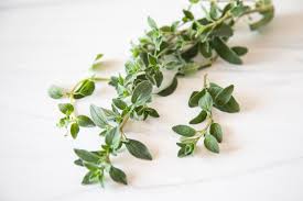 LOCAL HERBS OREGANO RRF  '794