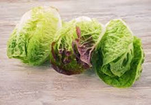 LOCAL LETTUCE MINI PWG    '478