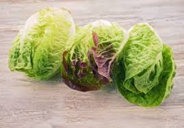LOCAL LETTUCE MINI PWG    '478