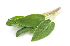 LOCAL HERBS SAGE RRF  '793