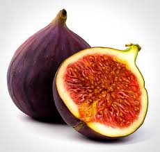 ORGANIC FIGS BROWN TURKEY PT   '388