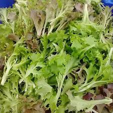LOCAL SALANOVA LETTUCE MIX, BAGGED PWG  '1613