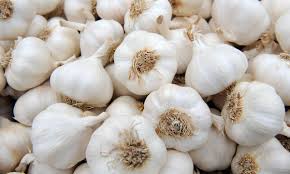 O GARLIC   '2504