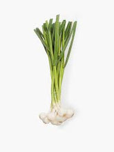 LOCAL GARLIC GREEN BUNCH    '1146