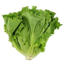 LOCAL LETTUCE GREENLEAF BULK PWG   '967