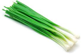 LOCAL ONIONS GREEN PATCHWORK GREEN  '153