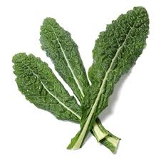 LOCAL KALE LACINATO ORG  '154