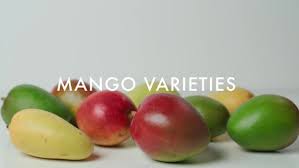 ORGANIC MANGOS KENT/TOMMY/KEITT   '1798