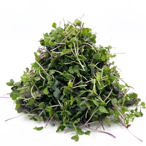 LOCAL MICROGREENS MIX BRF   '648