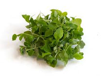 LOCAL MICROGREENS ARUGULA RRF