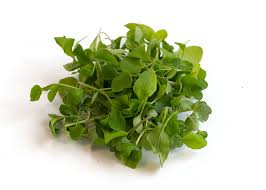 LOCAL MICROGREENS ARUGULA RRF