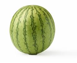 ORGANIC WATERMELON MINI SEEDLESS    '71