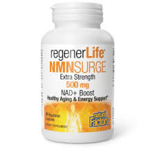 NMN SURGE NAD NATURAL FACTORS   '068958019260