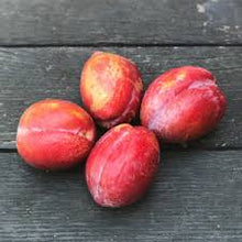 ORGANIC PLUOTS CRIMSON BEAUTY  PER/LB  '657