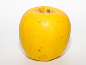 ORGANIC APPLES OPAL   '264