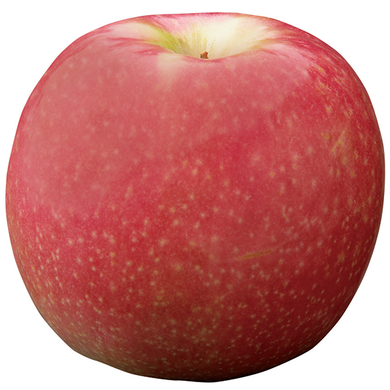 ORGANIC APPLES PINK LADY   '232