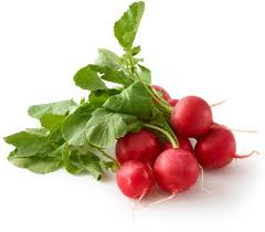 LOCAL RADISH BUNCH GREENTOP  '1685