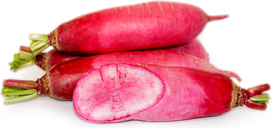 LOCAL RADISH DAIKON RED   '545