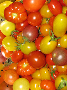 LOCAL  TOMATOES CHERRY RAINBOW MIX BRF    '386