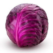 ORGANIC CABBAGE RED   '247