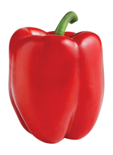 ORGANIC PEPPERS RED BELL   '313