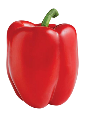 ORGANIC PEPPERS RED BELL   '313