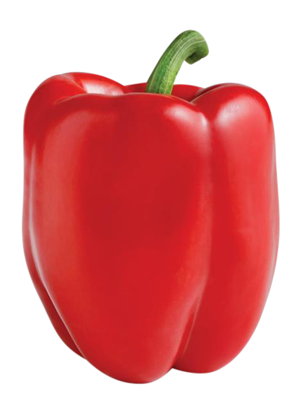 ORGANIC PEPPERS RED BELL   '313