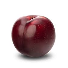 ORGANIC PLUMS RED   '1151
