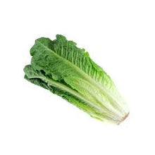 LOCAL LETTUCE ROMAINE SSF   '109